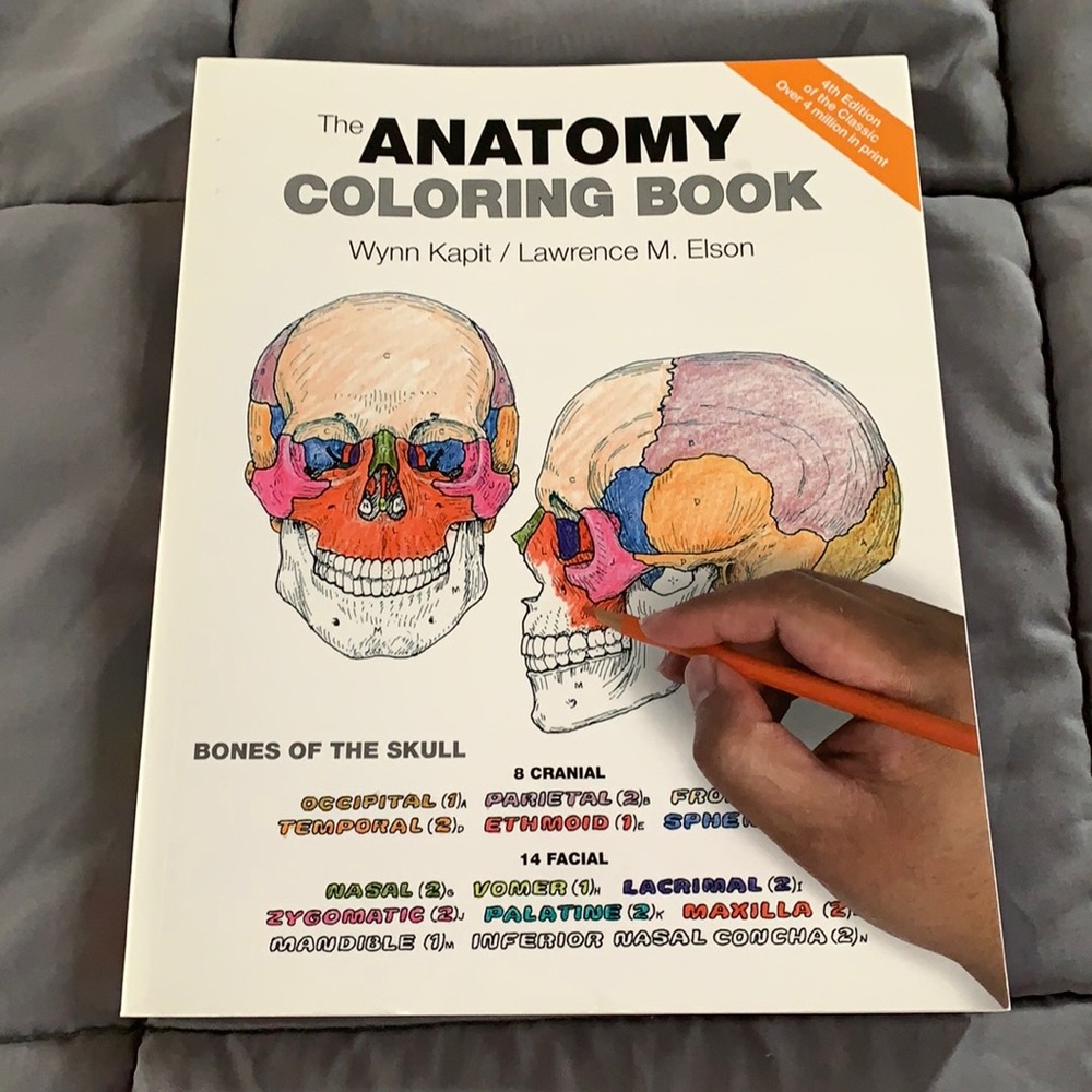 Anatomy book